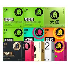 爆款返场 大象功能款30只