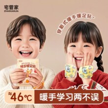 宅管家 穿戴式暖手宝10片