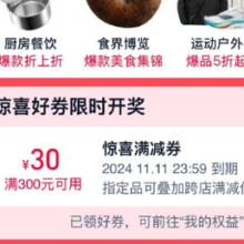 300-30元惊喜券