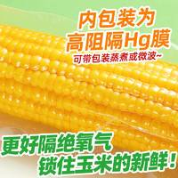 SHI YUE DAO TIAN 十月稻田 五常鲜食玉米 2.2kg