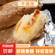 河南哈密冰糖心白薯  4.5斤 大果（400g+）