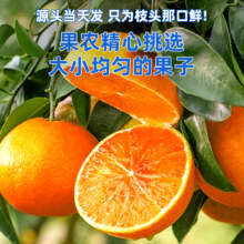 句可 爱媛 38号果冻橙 一级特大果 4.5斤装（单果约80MM+）*2件