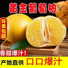 果迎鲜 黄心葡萄柚 5斤装