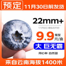 Mr.Seafood 京鲜生 云南蓝莓巨无霸 22mm+ 12盒装 125g/盒券后97.21元