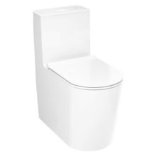 汉斯格雅（Hansgrohe）马桶连体坐便器家用虹吸式卫生间缓降盖板连体座便器 22431/22432 305坑距