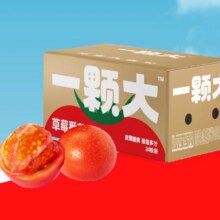 88VIP、需福袋：一颗大 玫瑰草莓番茄24枚1.65kg