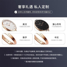 丹尼尔惠灵顿（DanielWellington）dw戒指男女经典玫瑰金情侣对戒时尚简约情侣戒指生日礼物送女友 15号DW00400081 流光金350元