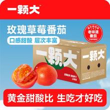 一颗大 玫瑰草莓番茄 1.65kg