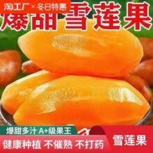 官方国货甄选 云南天山雪莲果 5斤 单果150克+
