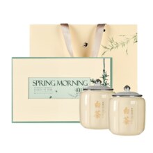 去寻 安吉绿茶白茶250g 明前特级嫩芽 2024新茶叶礼盒