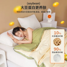 圣希德A类大豆纤维被子秋冬季加厚棉被春秋被芯四季通用双人保暖被褥 立体边-抹茶绿 150*200cm/3斤【单人春秋被】
