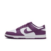 NIKE 耐克 DUNK LOW 男款运动鞋 DV0833