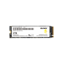 plus会员：光威（Gloway）2TB SSD固态硬盘 M.2接口(NVMe协议) PCIe 4.0x4 长江存储颗粒