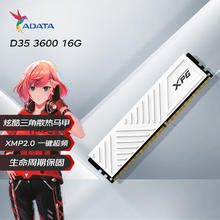 ADATA 威刚 16GB DDR4 3600 台式机内存 XPG-威龙D35 釉白