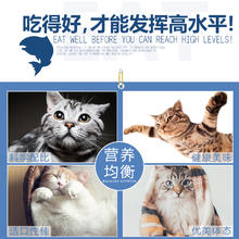 RAMICAL 雷米高 澳宝 全期深海鱼油猫粮成猫幼猫猫粮 全价全期猫粮2.5kg