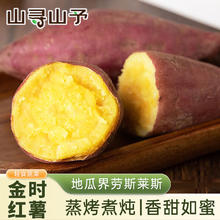山寻山予 金时地瓜红薯粗粮薯香甜番薯普箱装 净重4.5斤 源头直发 桥头地瓜大果 5斤