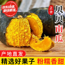 京鲜匠 贝贝南瓜 整箱5斤