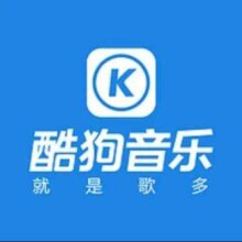 KUGOU 酷狗音乐 豪华VIP会员年卡 12个月