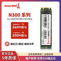 Great Wall 长城 M.2 SATA协议512G/1TB台式笔记本SSD固态硬盘N300系列 NGFF￥103