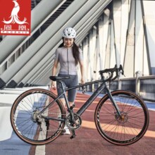 双11狂欢、plus:凤凰 GT600 弯把 钛金灰（禧玛诺/蓝图） M （建议身高160-180cm） 21速 禧玛诺（平把/弯把）