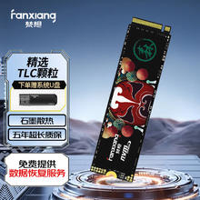 FANXIANG 梵想 SSD固态硬盘 M.2接口 S500系列 优质精选颗粒 S500pro