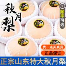 pLus会员:果小姐果鲜生山东秋月梨中果 带箱5斤（8-12枚）