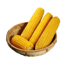 双11狂欢: 北纬华农  黄糯玉米2.3kg 10穗/箱
