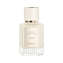 蔻依（Chloe） 仙境花园系列香氛 北国雪松 50ml EDP 浓香 木质香调 送女友