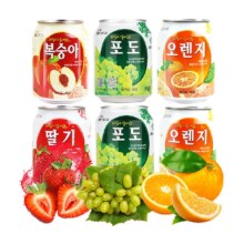 88VIP：九日多 口味果肉果汁 238ml*6罐 *2件