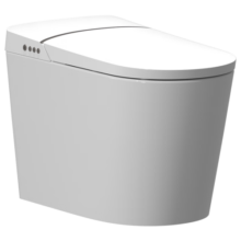 瑞尔特（R&T）智能马桶自翻盖等离子杀菌自动调温A6pro-305（厂商）