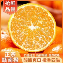 需试用：赣南脐橙  新鲜当季 赣南特级新鲜超甜橙子 精选装 精品果5斤   单果120g+