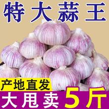首单直降 新鲜干蒜紫皮大蒜头当季蔬菜特大新干蒜籽蒜瓣批发包邮