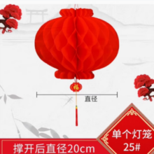 宫府 新年灯笼户外挂饰 全红灯笼 25cm*1个
