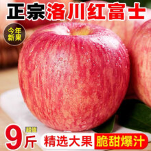 京东百亿补贴:晟容果蔬 2024年陕西红富士 精选净重4.5斤 中大果 单果160g+