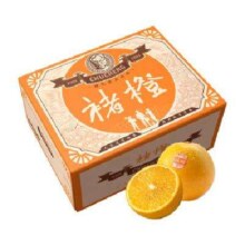 双11巅峰：褚橙 云南冰糖橙 橙子 珍品果 XXL 5kg装 单果约200g起 新鲜水果