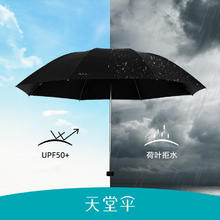 Paradise 天堂伞 三折晴雨伞 8骨 114cm 黑色