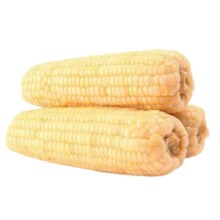 金箔白糯玉米220g*8根