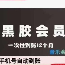 网易云音乐会员年卡 网易云音乐黑胶vip会员12个月 填手机号充值53元