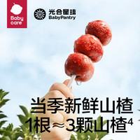 BabyPantry 光合星球 山楂小葫芦 3盒