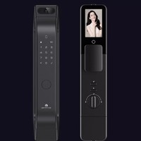 DESMAN 德施曼 大圣Q5MPro 智能门锁 标准版 高端黑