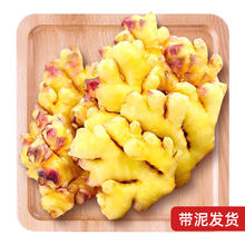 京百味 云南小黄姜 5斤装 生姜 新鲜蔬菜 源头直发