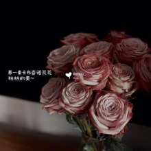 鲜花情卡布奇诺玫瑰花束同城配送朋友闺蜜老婆女友生日表白礼物 始终如一·复古色19朵卡布奇诺花束 同城配送 支持预约日期