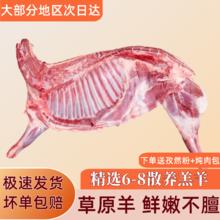 抱年 宁夏滩羊肉 半只羊10斤装