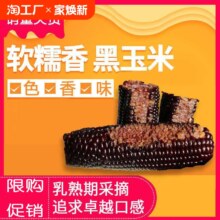 礼金+金币黑糯玉米10根