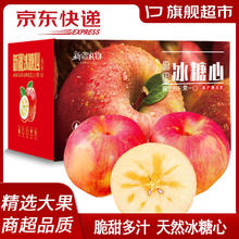 龙多鲜新疆红富士苹果 2024年新果新鲜丑苹果 时令水果整箱 JD送货上门 净重8.5-9斤 单果75-80mm