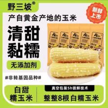 野三坡新鲜采摘糯玉米真空粘糯玉米旗舰店
