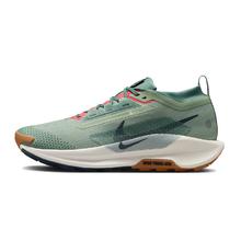 百亿补贴：NIKE 耐克 PEGASUS 男款跑步鞋 FQ0908-300