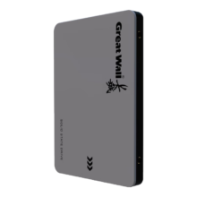 Great Wall 长城 512GB SSD固态硬盘 SATA3.0接口 GW560系列