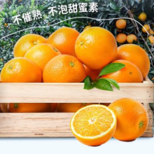 江西赣南脐橙果 2.5斤 60-70mm