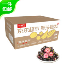 PLUS会员:京鲜生 云南红果参蜘蛛果125g*4盒 果径15mm+
